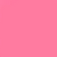 Shoe Color Kit -  Restaura Color y Textura
